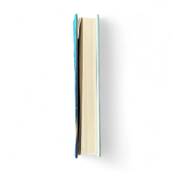 Husbands & Lovers by Beatriz Williams Hardcover Novel - Picture 3 of 6